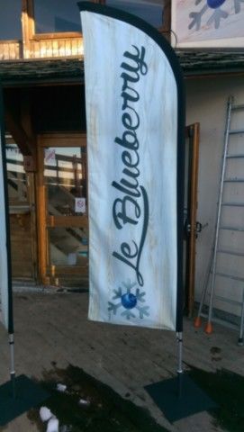 drapeau 0,65x 2,50 M