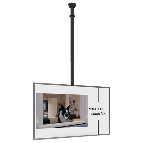 écran vitrine support plafond 55 pouces